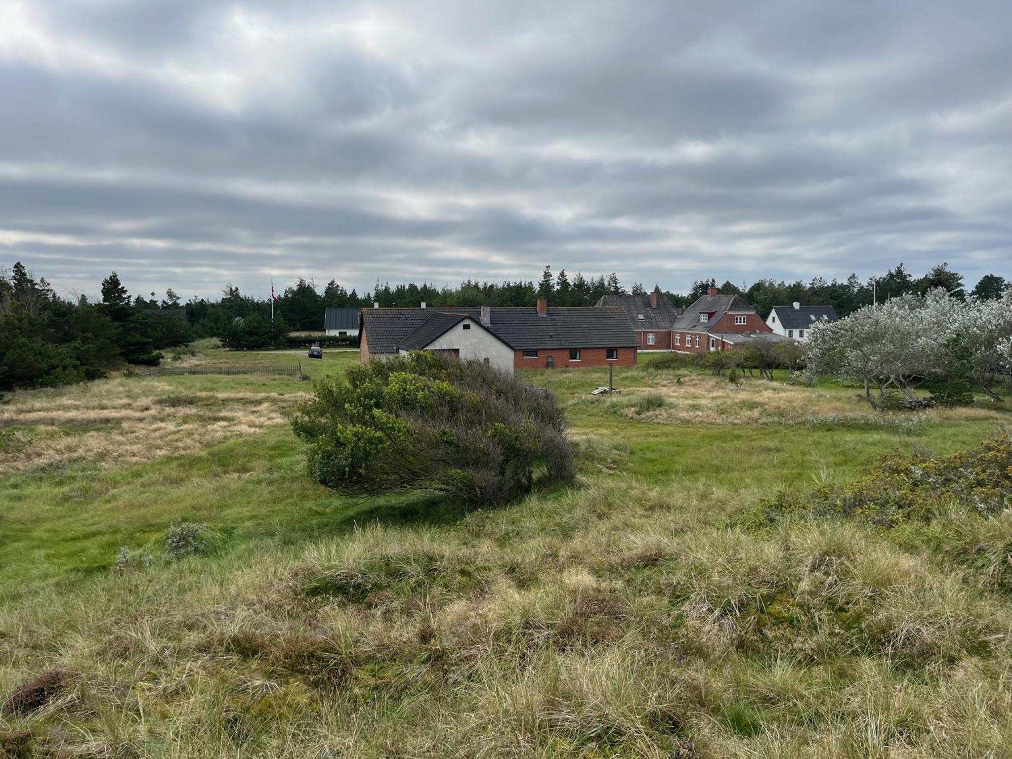 The Beach Farm - Charm, Beach And Stunning Nature Bedsted Thy Exterior photo